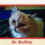 Coykendall, Mr. BooKitty