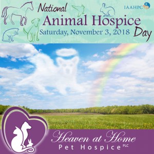 HAHHospiceDay2018