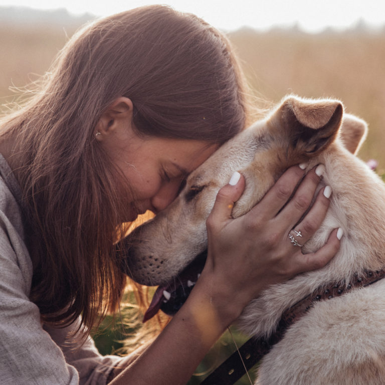 Senior Pet Services Pet Home Hospice & Euthanasia Vet MI