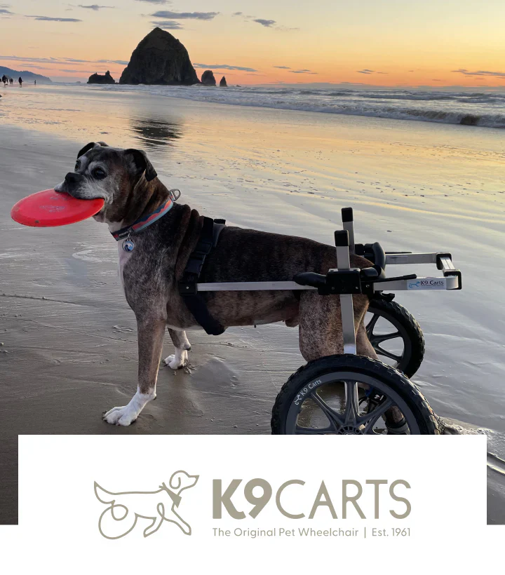 K9 Cart - Wheelchairs