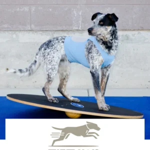 Fitpaws Canine Rehabilitation and Fitness Equipment