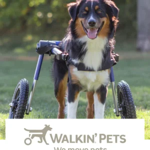 Walkin' Pets Mobility Aids